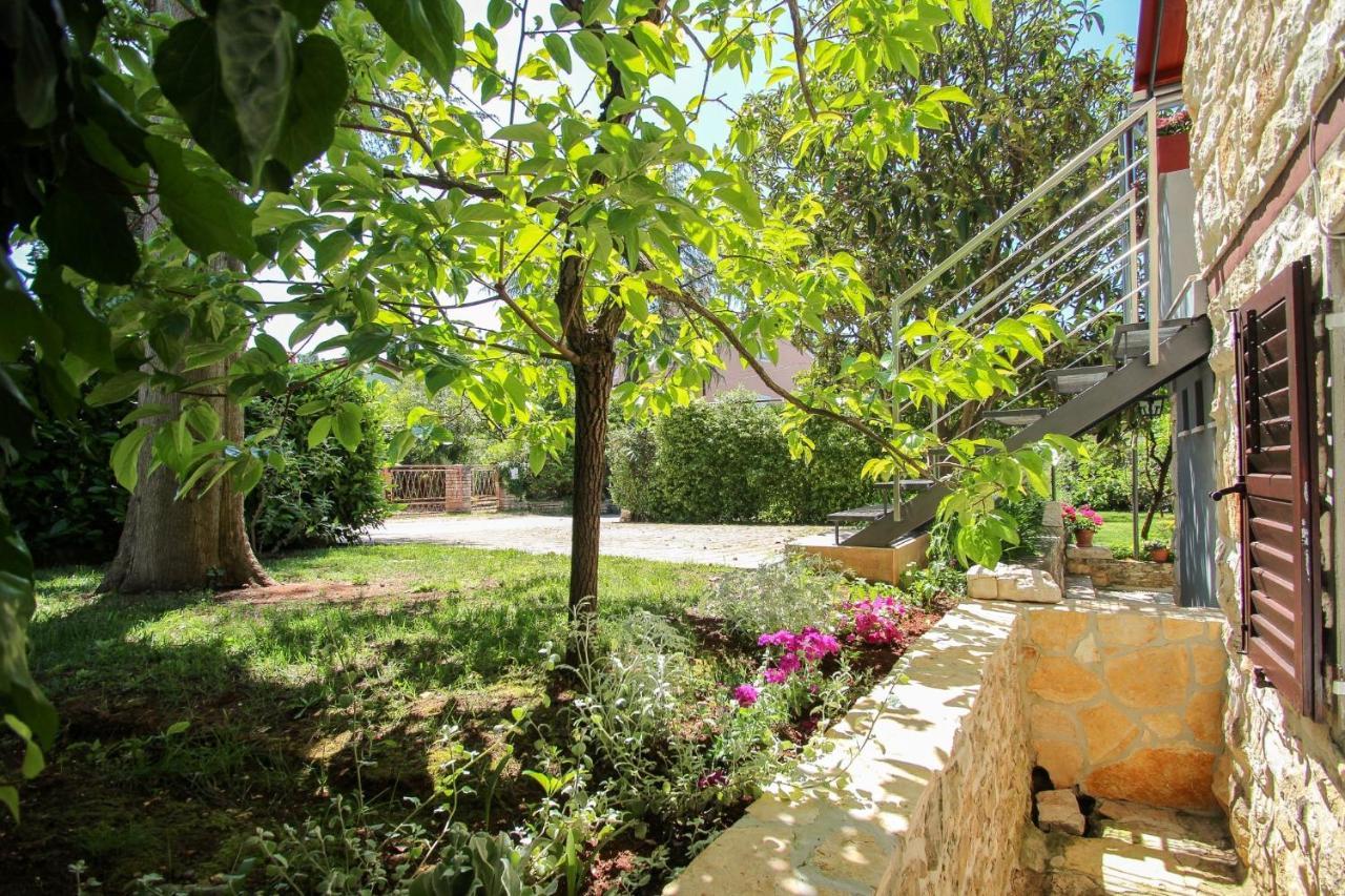 Carla Guest House Novigrad  Екстер'єр фото
